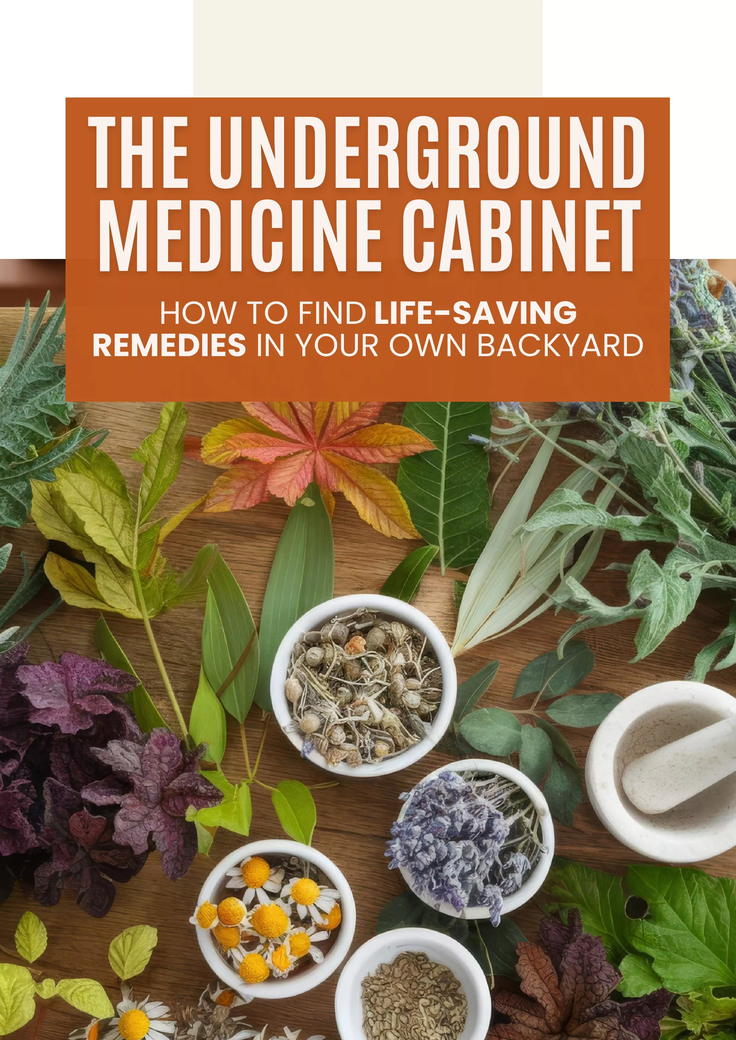 fatal blackout bonus 2